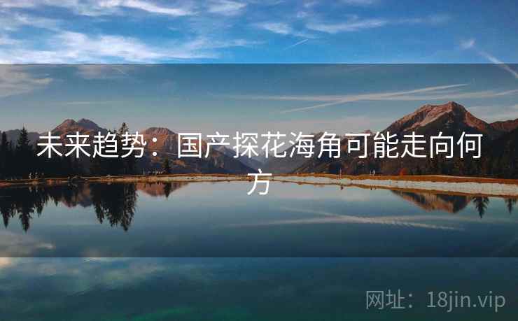 未来趋势:国产探花海角可能走向何方