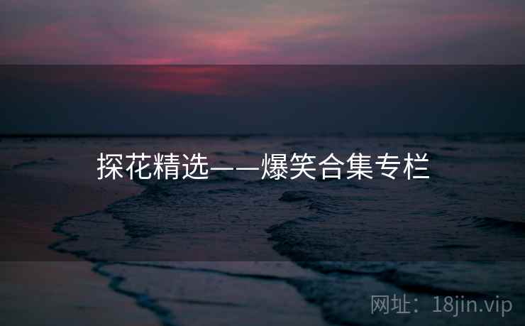 探花精选——爆笑合集专栏 探花精选——爆笑合集专栏