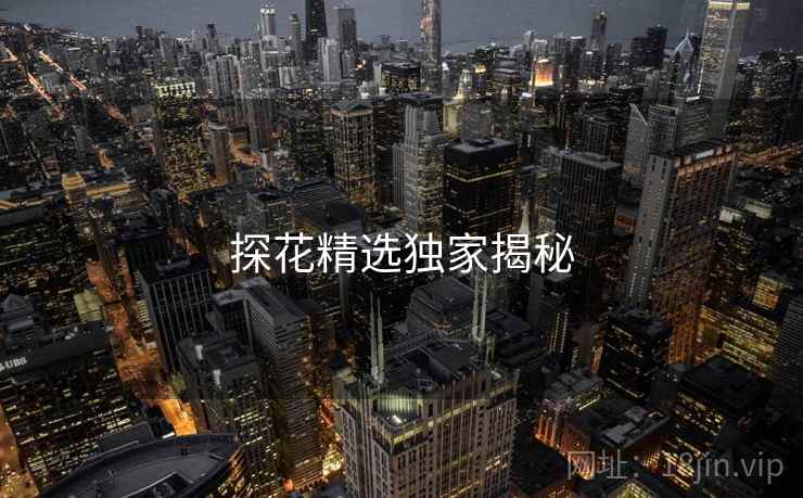 探花精选独家揭秘