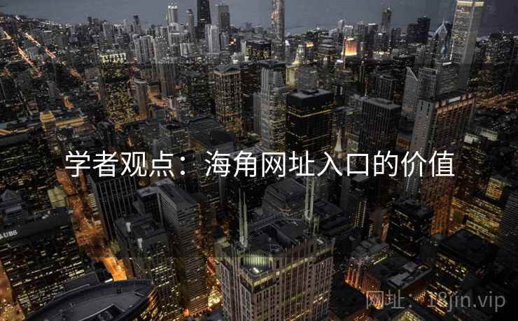 学者观点:海角网址入口的价值