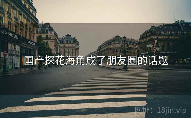 国产探花海角成了朋友圈的话题
