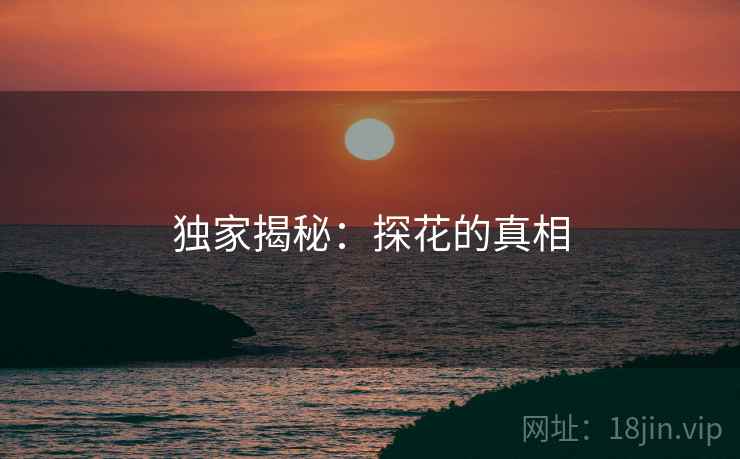 独家揭秘:探花的真相