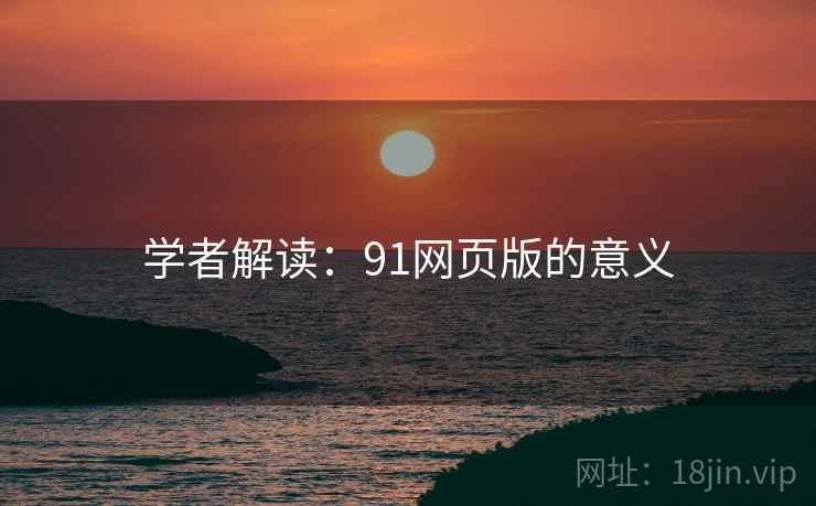 学者解读：91网页版的意义