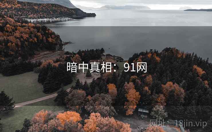 暗中真相:91网 暗中真相:91网
