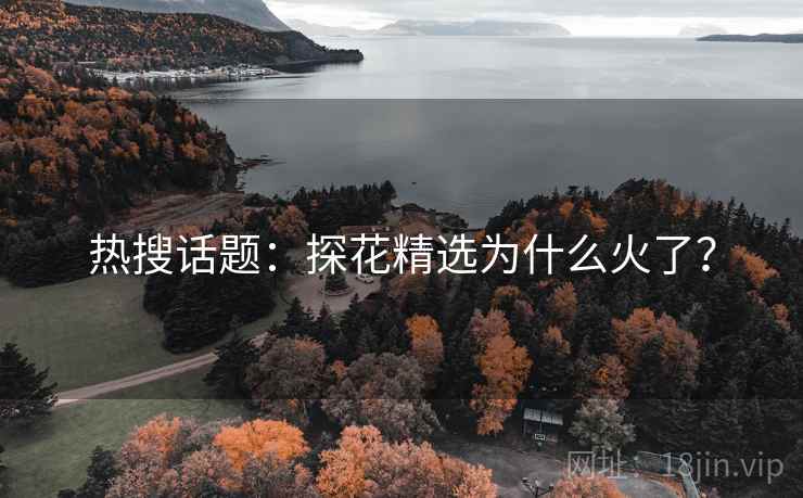 热搜话题：探花精选为什么火了？