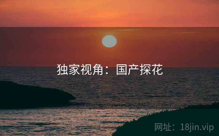 独家视角:国产探花 独家视角:国产探花