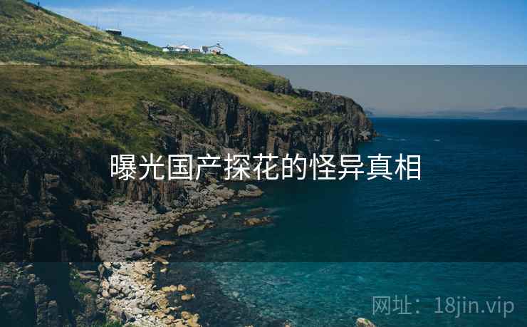 曝光国产探花的怪异真相 曝光国产探花的怪异真相