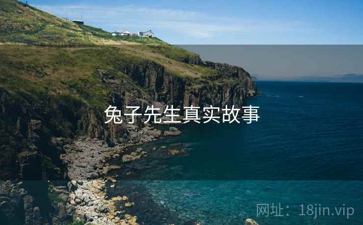 兔子先生真实故事 兔子先生真实故事